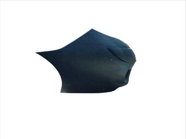 Foto 2ª: Paragolpes Delantero Renault Express 1.5 DCI 75 FW07 FW10 FW04) KANGOO FW0/1_) (2008)