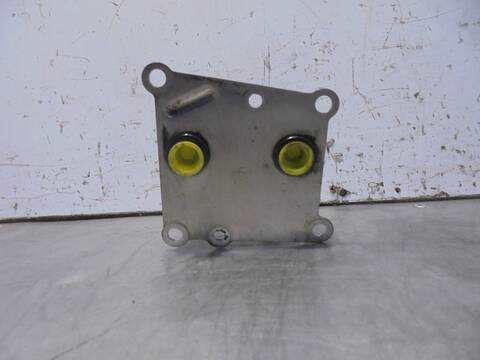 Foto 4ª: Radiador Aceite Ford Focus AMBIENTE BERLINA 90CV 66KW [C9DA] (2000)