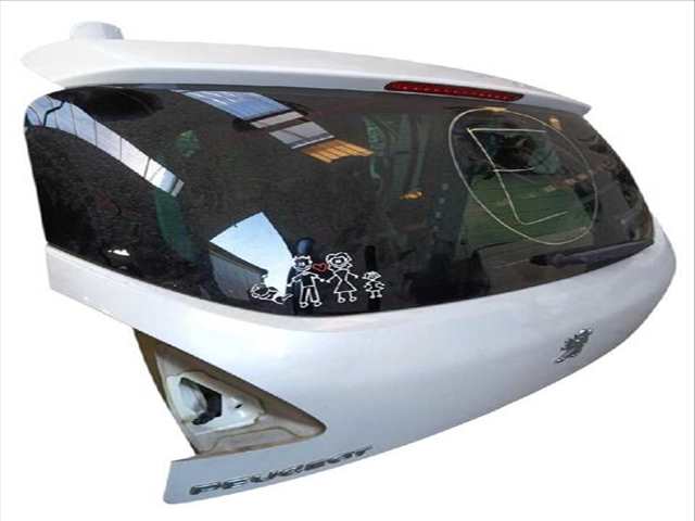 Foto 3ª: Portón Peugeot 3008 1.6 HDI (2009)