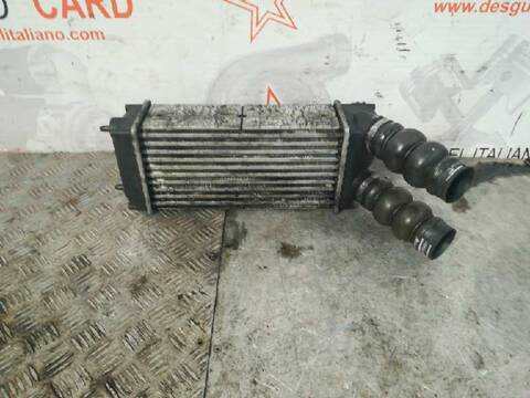 Foto 1ª: Intercooler Peugeot 307 SW PACK 109CV 80KW [D-9HZ] (2006)