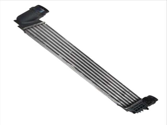 Foto 2ª: Intercooler Renault Scenic 1.5 DCI JZ02 JZ0R) (2008)