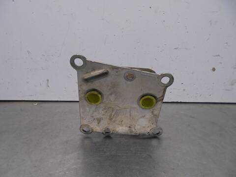 Foto 3ª: Radiador Aceite Ford Focus AMBIENTE BERLINA 75CV 55KW [BHDA] (2001)