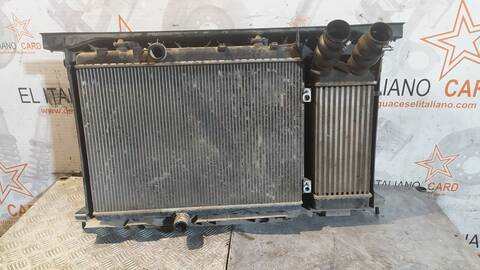 Foto 3ª: Radiador Motor Peugeot 307 XT BERLINA 109CV 80KW [9HX] (2005)