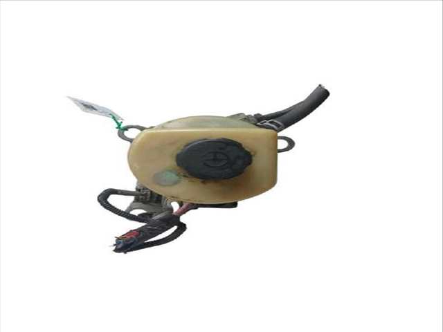 Bomba de Direccion Ford C Max 1.6 TDCI DM2)