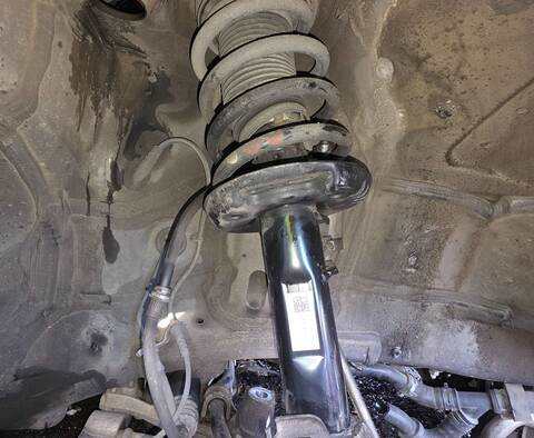 Foto 1ª: Amortiguador Delantero Derecho Seat Alhambra ERENCE 140CV 103KW (2011)
