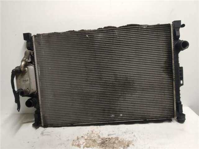 Foto 1ª: Radiador Motor Ford S Max 2.0 TREND [2.0 LTR. - 103 KW TDCI CAT] (CA1)(2006 _) [UFWA]
