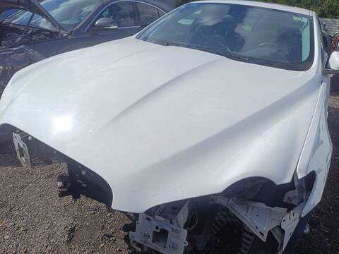 Foto 2ª: Capot Jaguar XF 3.0 V6 DIESEL LUXURY 211CV 155KW (2010)