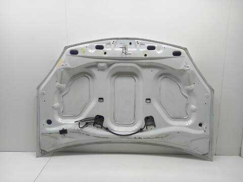 Foto 2ª: Capot Dacia Sandero D4F732 (2010)