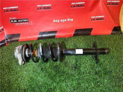 Amortiguador Delantero Izquierdo Citroen Jumper 30 L1H1 BLUEHDI 110 BLUE-HDI FAP 110CV 81KW FURGON