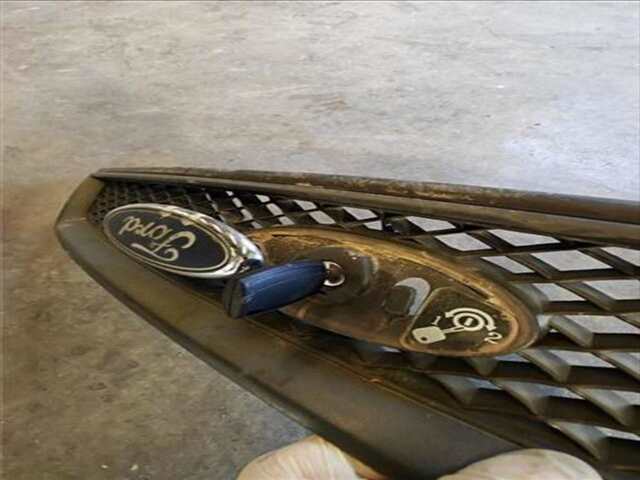 Foto 3ª: Rejilla Delantera Ford Focus 1.6 TREND [1.6 LTR. - 80 KW TDCI CAT] [G8DA]