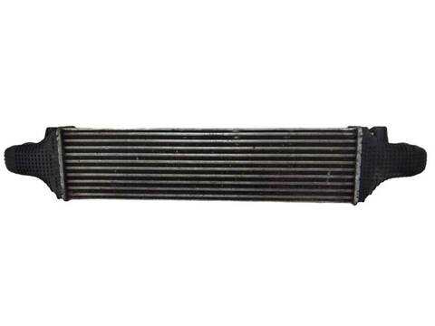 Foto 2ª: Intercooler Mercedes Clase G 230 200 CDI 204.901) (2008)
