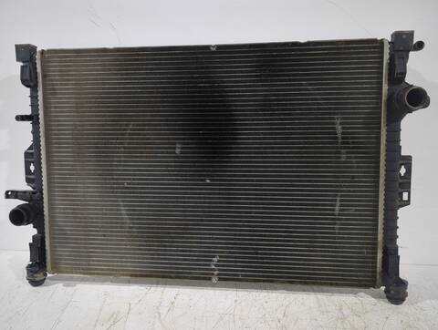 Foto 1ª: Radiador Motor Land Rover Freelander 2.2 TD4 4X4 160CV 118KW [224DT(DW12BTED4),DW12BTED4] (2007)