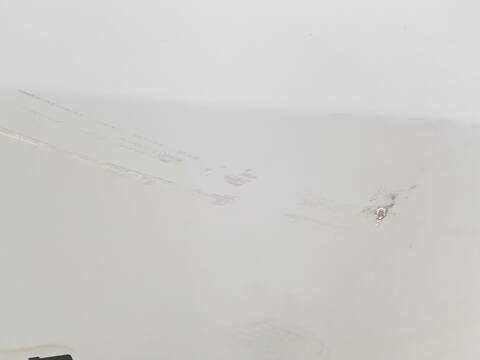 Foto 3ª: Puerta Delantera Derecha Renault Trafic L2H1 29T 100CV 74KW [R9M452] (2014)