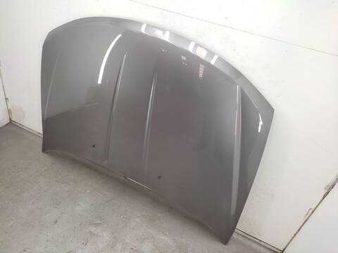 Foto 2ª: Capot Fiat Freemont 2.0 JTD 170CV 125KW [939B5000] (2012)