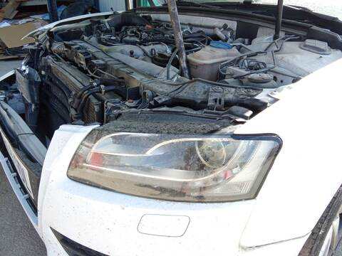 Foto 2ª: Faro Izquierdo Audi A5 3.0 TDI QUATTRO 240CV 176KW [CAPA,CCWA] (2008)