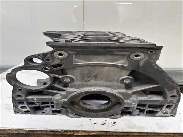 Foto 1ª: Bloque Motor Bmw Serie 3 315 N53 272 CV 200KW [N53B30A] (2008)