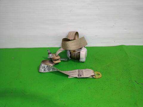 Cinturón Trasero Derecho Lexus RX LUXURY 204CV