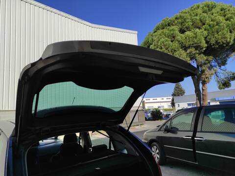 Portón Citroen C4 9HZ PICASSO