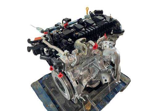 Foto 2ª: Motor Completo Renault Clio V (2019)