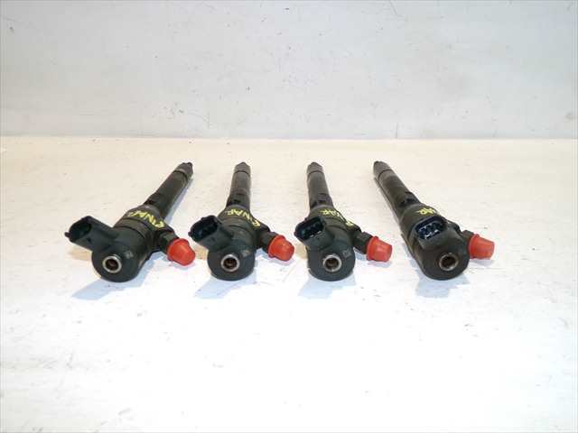 Foto 3ª: Inyectores Kia Carens 2.0 CRDI 2006-2013 [D4EA] (2009)