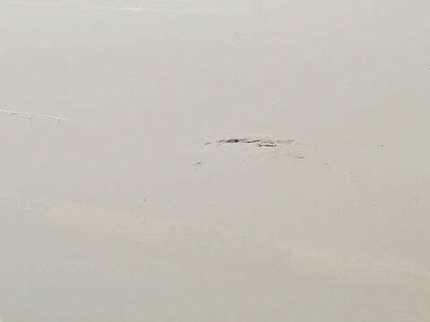 Foto 3ª: Puerta Delantera Derecha Mercedes Sprinter 419 CDI RWD 907.643 907.645 907.647) 190CV 140KW FURGONETA [654920] (2024)