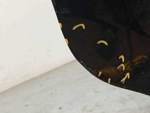 Foto 4ª: Puerta Lateral Corredera Derecha Ford Tourneo 1.0 ECOBOOST 125CV 92KW [B7NB] (2024)