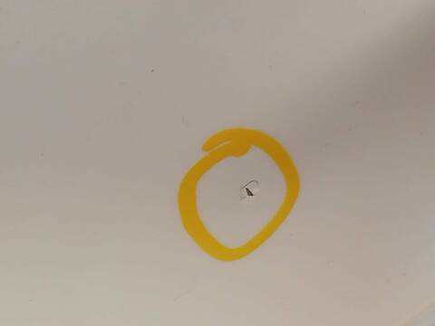 Foto 4ª: Puerta Trasera Izquierda Hyundai ix35 1.6 CAT 135CV 99KW [G4FD] (2015)