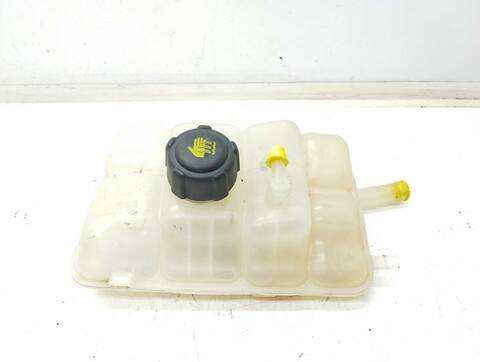 Deposito Expansion Renault Scenic BLACK EDITION 140CV 103KW IV