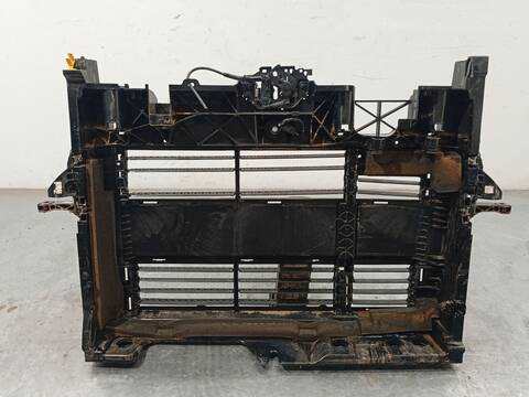 Foto 4ª: Panel Frontal Ford Tourneo 1.0 ECOBOOST 125CV 92KW [B7NB] (2024)