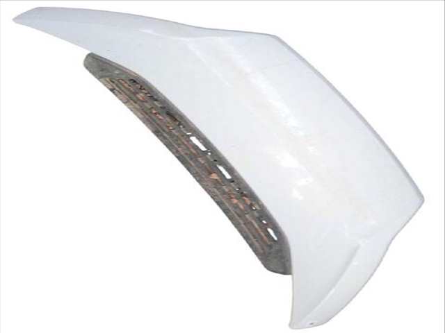 Capot Fiat Ducato 130 MULTIJET 2 3 D FURGONETA