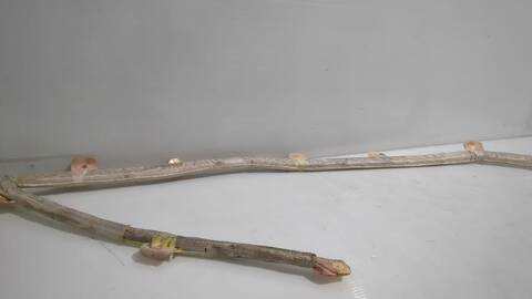 Airbag Cortina Delantero Derecho Audi A4 1.9 TDI 130CV