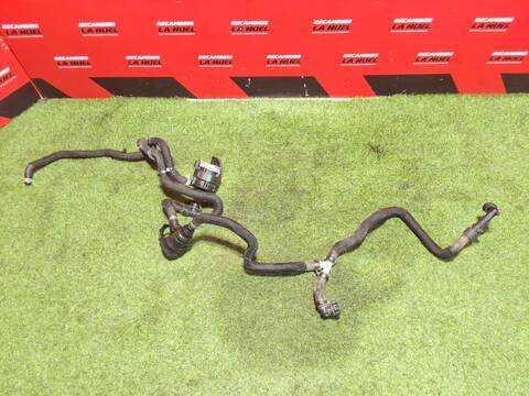 Foto 1ª: Bomba de Agua Renault Kangoo BLUE DCI 95 KJAB) 95CV 70KW [K9K 876,K9K 877] (2024)