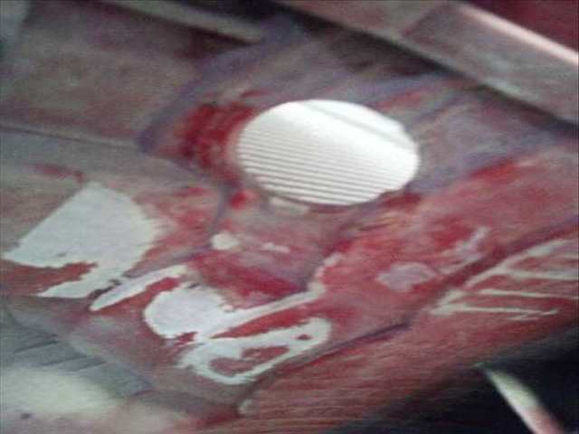 Foto 2ª: Piloto Trasero Derecho Mercedes Clase ML 270 CDI 163.113) W163) [612963] (2003)