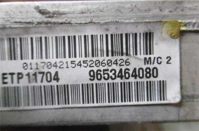 Radiador Motor Citroen C5 2.0 HDI EXCLUSIVE [2.0 LTR. - 80 KW HDI]