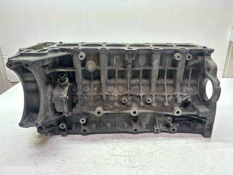 Foto 1ª: Bloque Motor Bmw Serie 3 315 234 CV 172KW [N51B30A N51 N51B30M0 N52] (2009)