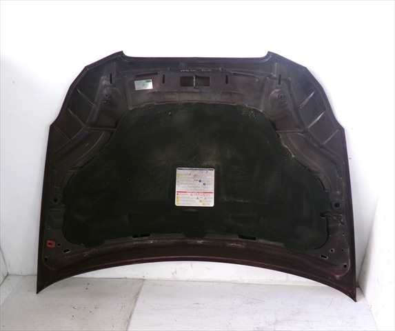 Foto 2ª: Capot Lancia Delta 1.6 JTD 2008-2014 [198A2000] (2008)