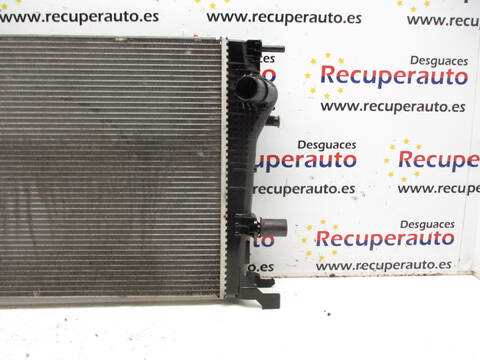Foto 2ª: Radiador Motor Renault Megane F9Q872 BERLINA III BERLINA 5P (2009)