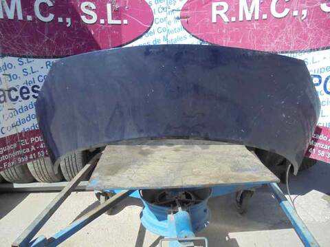 Capot Renault Scenic AUTHENTIQUE 120CV 88KW