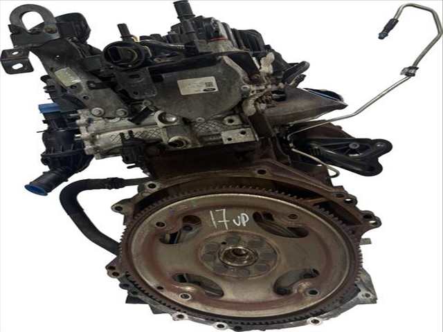 Motor Completo Ford Transit 2.0 ECOBLUE 185 CV 136KW