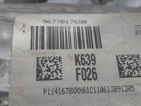 Foto 3ª: Filtro Particulas Citroen C3 SEDUCTION PICASSO 92CV 68KW [9HP] (2011)