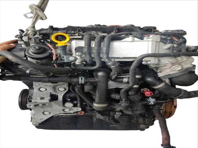Foto 3ª: Motor Completo Volkswagen Tiguan 2.0 TDI (2007)