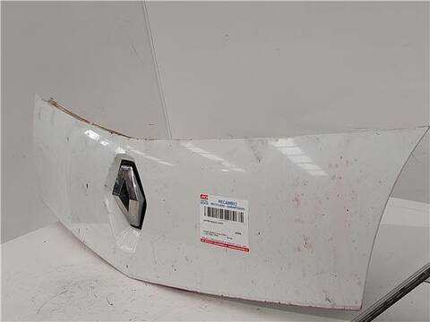 Foto 3ª: Rejilla Delantera Renault Express 1.5 DCI FW0A FW0B) 86CV 63KW KANGOO FW0/1_) [K9K 800] (2008)