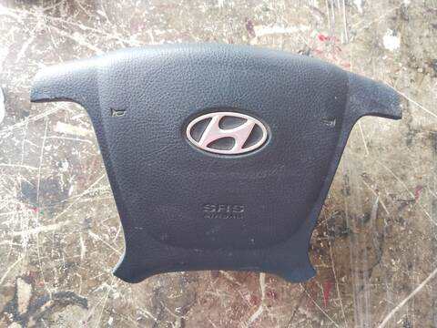 Foto 1ª: Airbag Delantero Izquierdo Hyundai Santa Fe G6EA (2009)