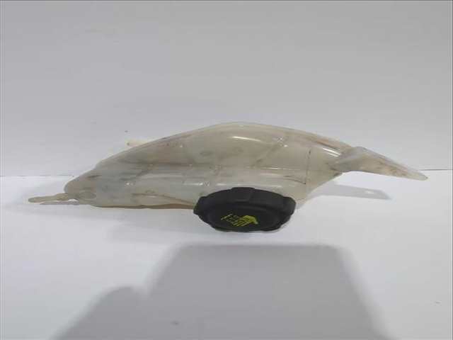 Deposito Expansion Nissan Qashqai 1.5 DCI 116CV