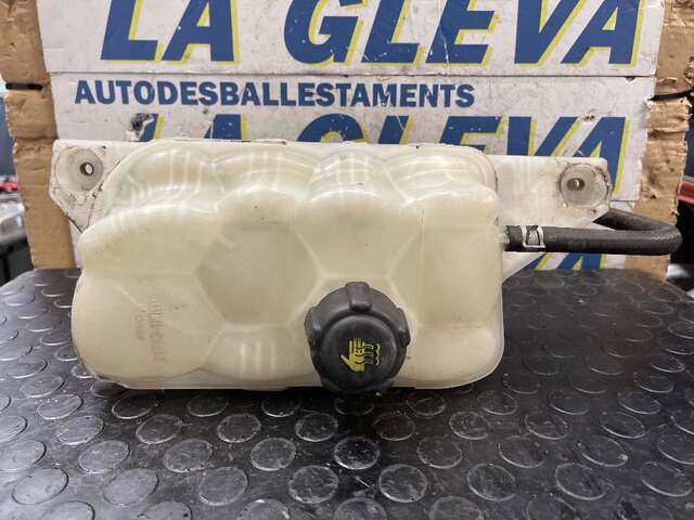 Deposito Expansion Nissan Juke JUKE 0CV