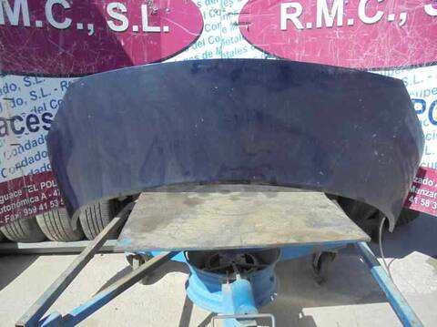 Capot Renault Scenic AUTHENTIQUE 120CV 88KW