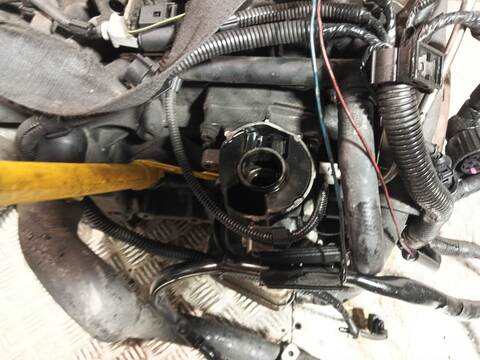 Foto 3ª: Bloque Motor Volkswagen Golf TRENDLINE BERLINA 105CV 77KW [BKC] (2005)