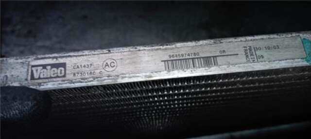 Foto 1ª: Radiador Calefaccion A.A. Peugeot Partner 1.9 D [WJY (DW8B)]
