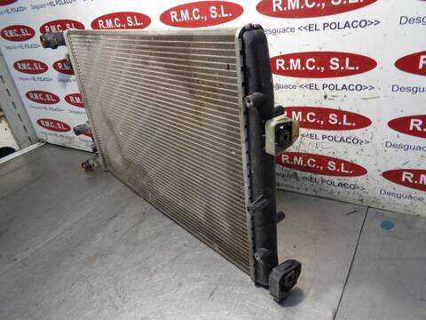 Foto 4ª: Radiador Motor Skoda Fabia 1.9 TDI 100CV 74KW [ATD] (2005)