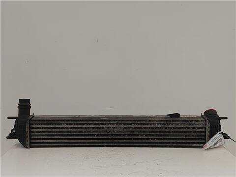 Foto 2ª: Intercooler Renault Laguna 2.0 BASIS COUPE 150CV 110KW [M9R 744] (2009)